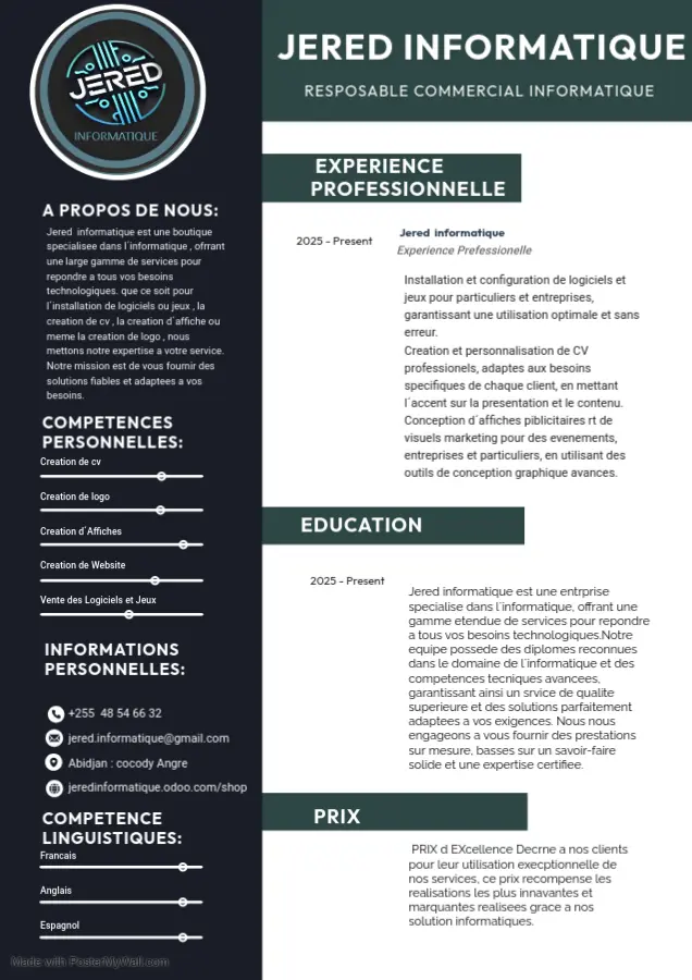 COMMANDEZ UN CV PROFESSIONNEL